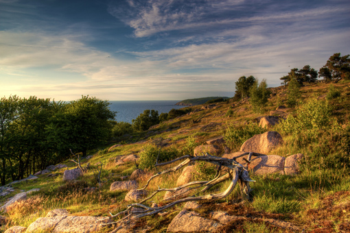 Abendsonne fällt auf das prachtvolle Naturgebiet Slotslyngen im Norden Bornholms