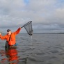 Angeln am Limfjord
