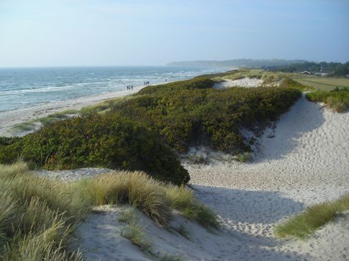 Ristinge Strand