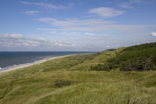 Svinkløv Klitplantage