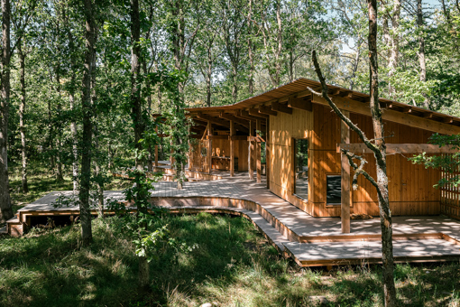 Das neugebaute Trailcenter Bornholm im Waldgebiet Almindingen auf Bornholm bietet 17 MTB-Trails 