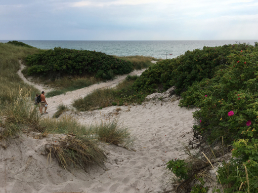 Dünenlandschaft mit Blick aufs Meer