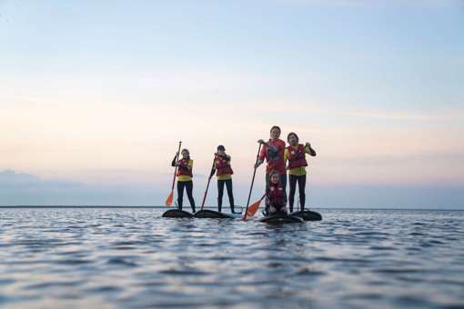 SUP auf dem Ringkøbing Fjord