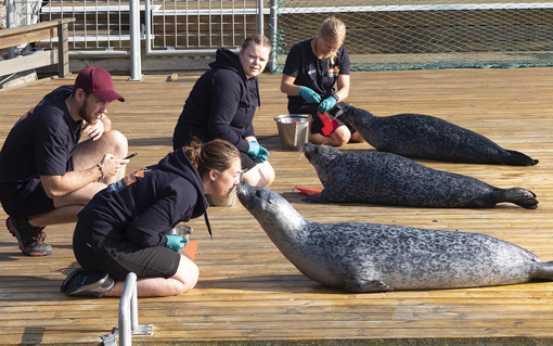 Fjord & Bælt in Kerteminde