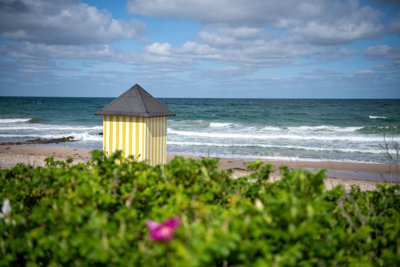 Frühlingsneuigkeiten aus Dänemark