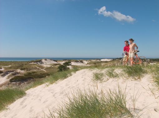 Urlauber mit Fahrräder in den Dünen vor dem Dueodde Strand