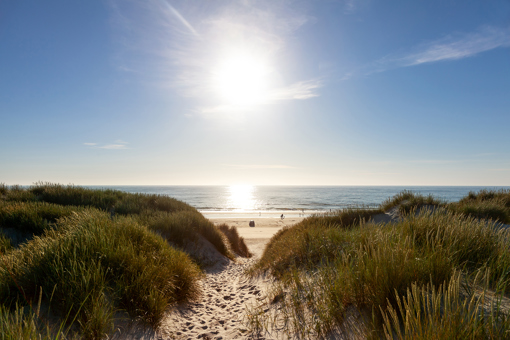Am Vejers Strand nördlich von Blåvand