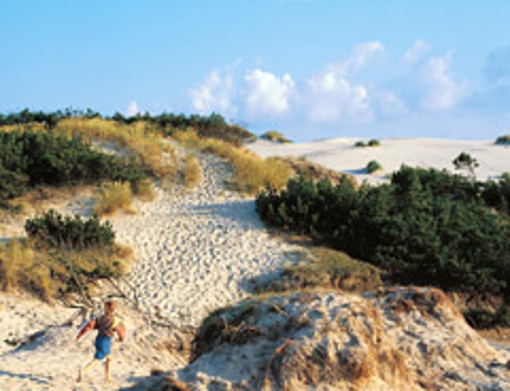 Ein Junge läuft eine Sanddüne am Dueodde Strand hinauf