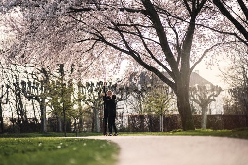 Der Schlosspark Marselisborg verfügt über eine schöne Skulpturensammlung, einen Rosengarten mit Pergola und einen interessanten Kräutergarten. Der Garten ist für die Öffentlichkeit zugänglich, wenn sich die königliche Familie nicht im Schloss aufhält.