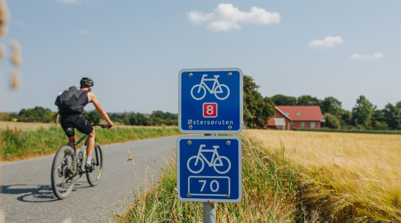 nostalgie hollandrad test Wittich Damenrad 28 Zoll, Shimano Nexus 7-Gang – RENNRAD TRIBAN RC 100 Troy Color:Matte Sapphire/24K Iridium