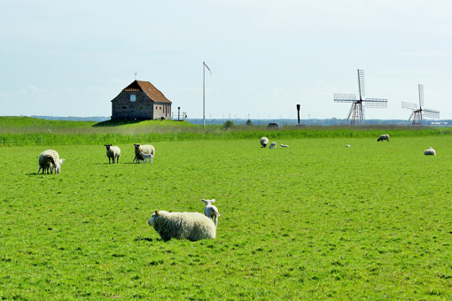Am Wattenmeer in Dänemark