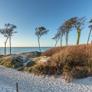 Ferienhaus Bornholm mit Hund