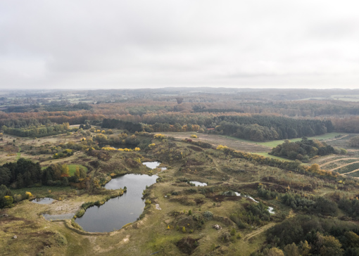 Aussicht vom Turm Forest Tower