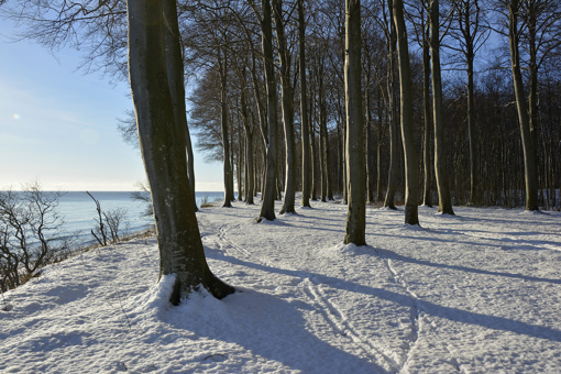 Rytsebaek Strand auf Møn