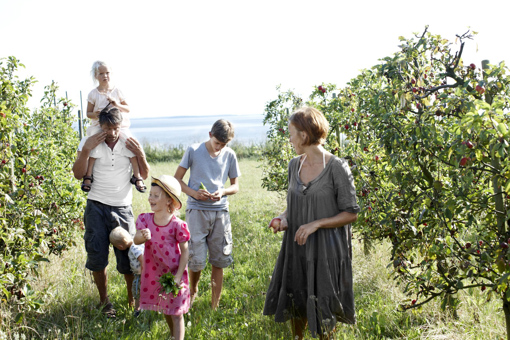 Urlaub im dänischen Ferienhaus in Vordingborg