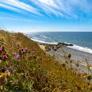 Urlaub im Ferienhaus an der dänischen Ostsee