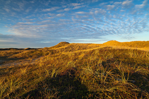 Auf der Halbinsel Agger