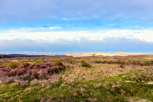 Rubjerg Knude Fyr