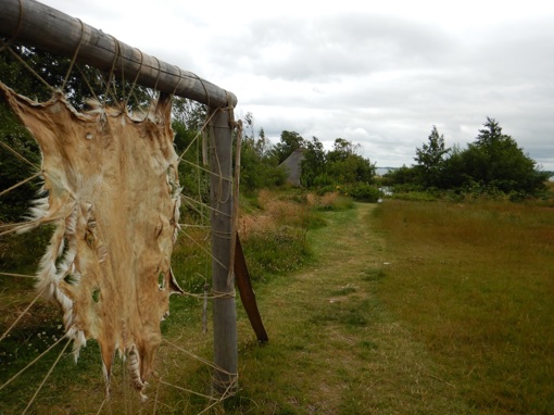 Stenaldercenter Ertebølle