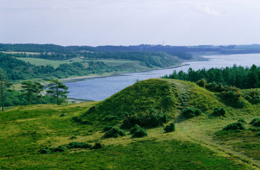 Landschaft am Limfjord