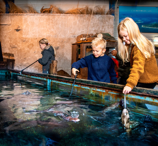 Kinder an einem offenen Becken im Jyllands Akvariet