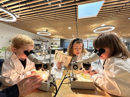 Miniforscher im Naturama