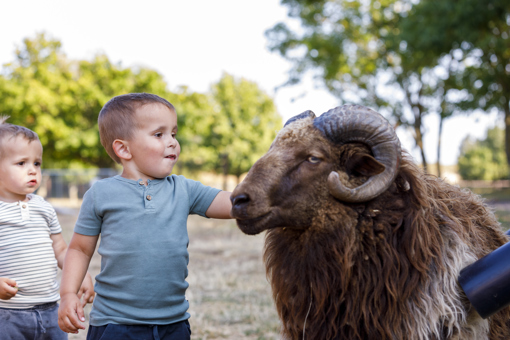 Kleinkinder im Sommerland Sjaelland